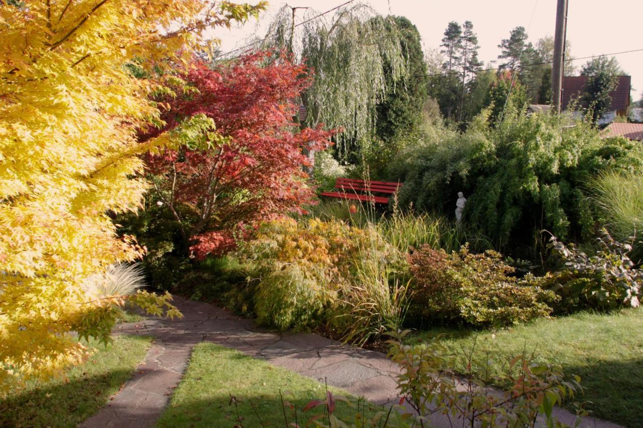 クロルト・ゴーリッシュFerienhaus "Am Waldsaum"アパートメント エクステリア 写真