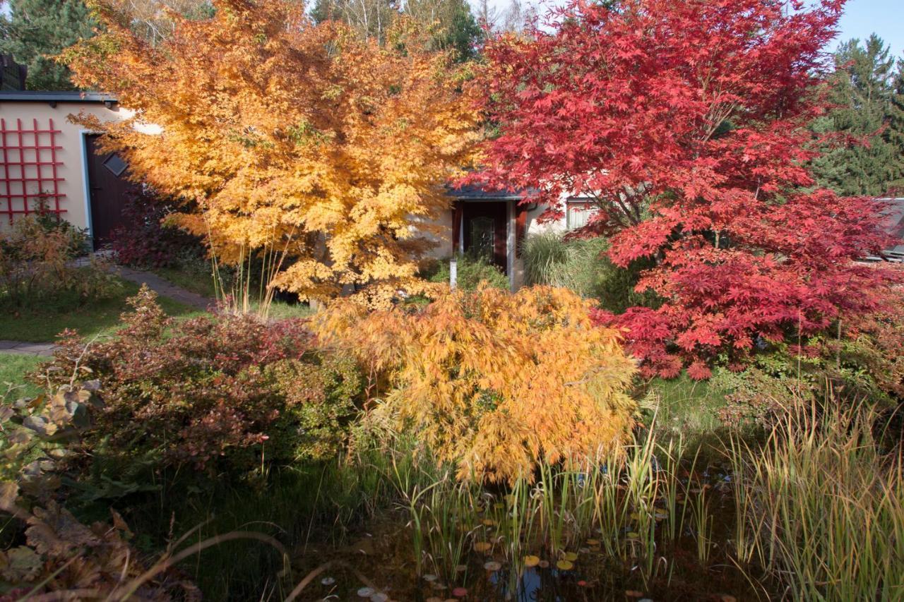 クロルト・ゴーリッシュFerienhaus "Am Waldsaum"アパートメント エクステリア 写真