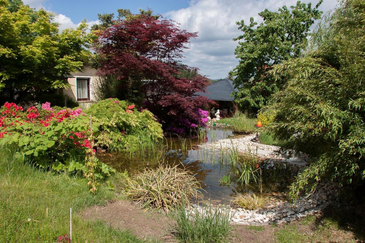 クロルト・ゴーリッシュFerienhaus "Am Waldsaum"アパートメント エクステリア 写真